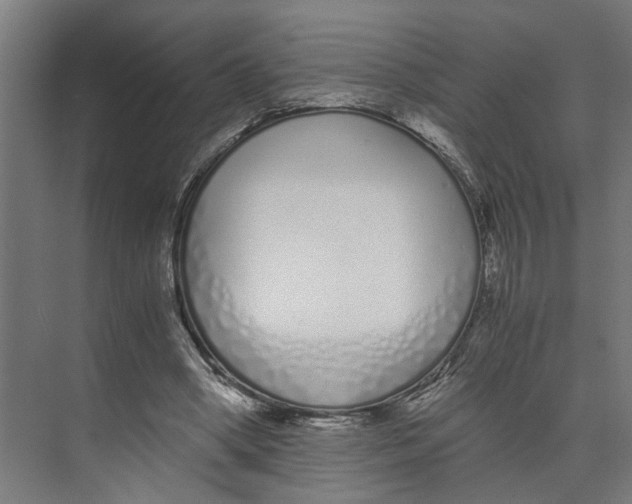 X0000073510394200608281712