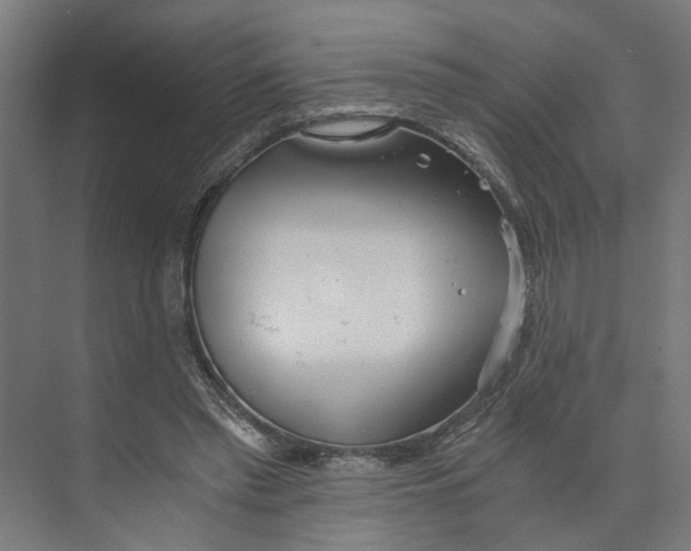 X0000073510397200608281712