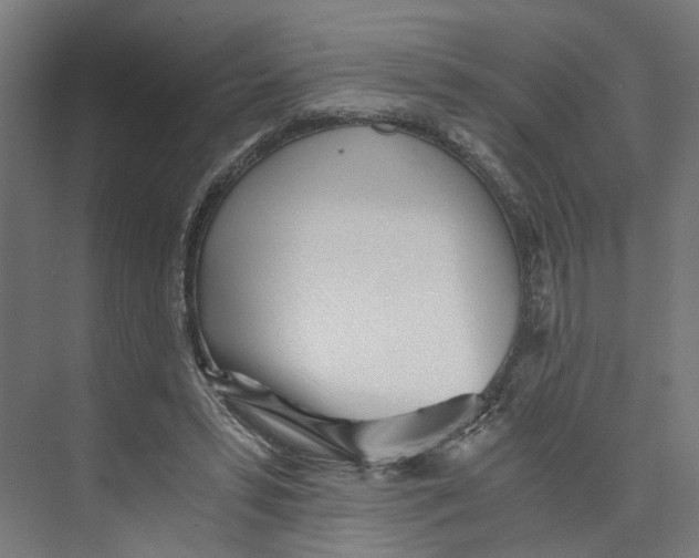 X0000073510399200608281712