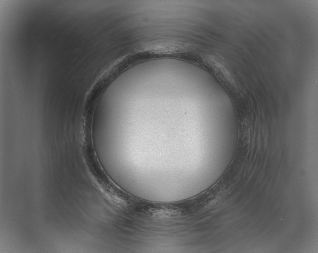 X0000073510400200608281712
