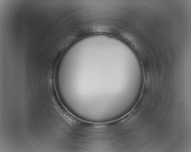 X0000073510402200608281712