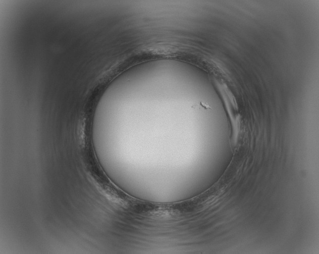 X0000073510404200608281712