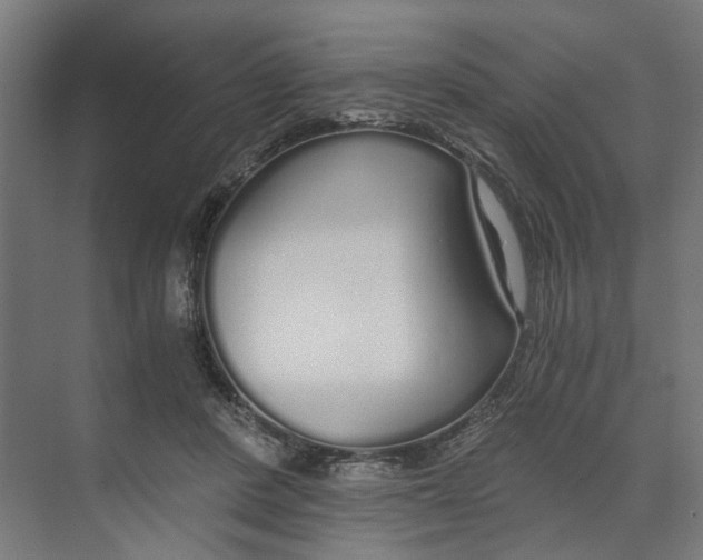 X0000073510408200608281712