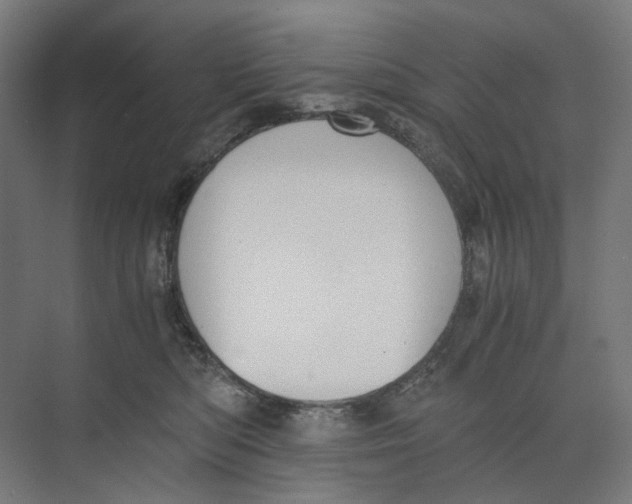 X0000073510422200608281712