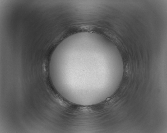 X0000073510424200608281712