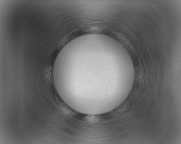 X0000073510425200608281712