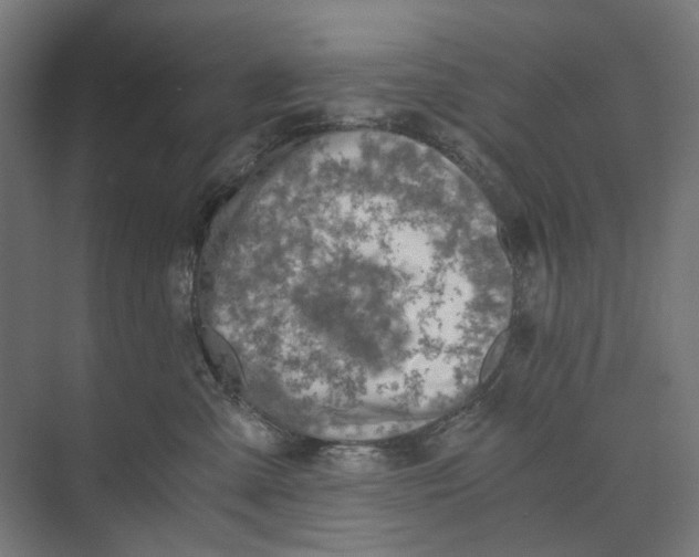 X0000073510427200608281712