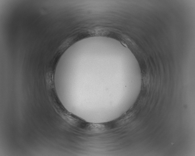 X0000073510429200608281712