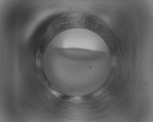 X0000073510431200608281712