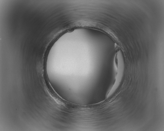 X0000073510438200608281711