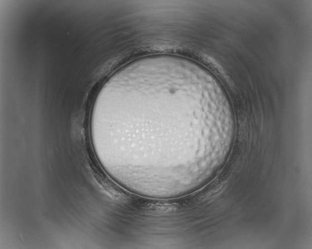 X0000073510443200608281711