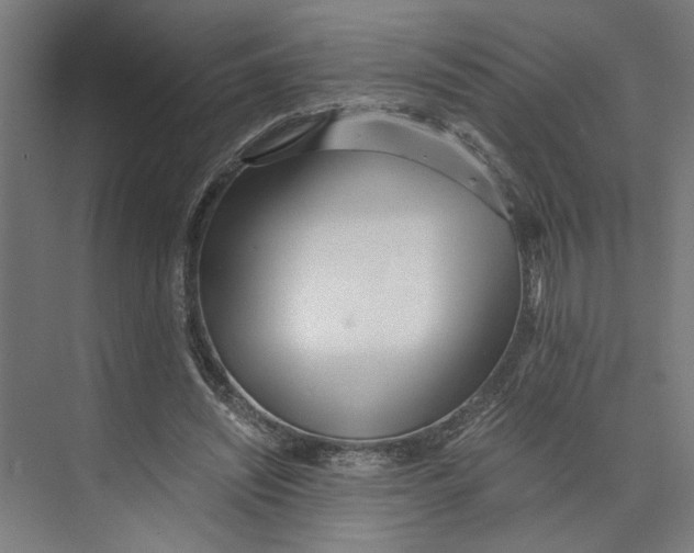 X0000073510444200608281711
