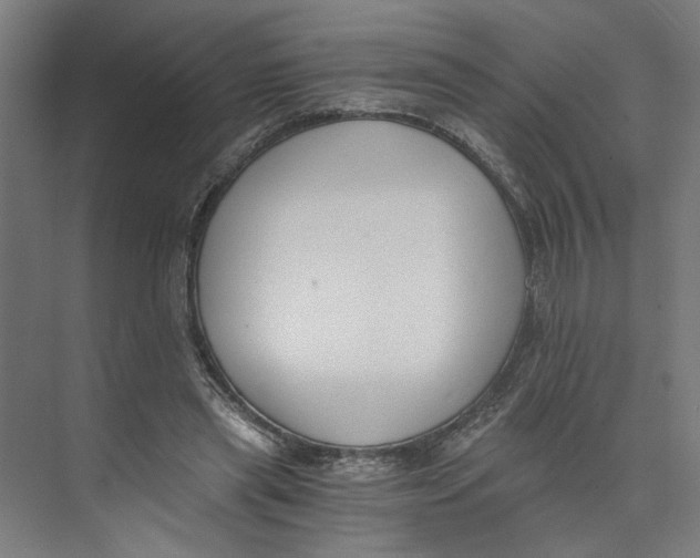 X0000073510445200608281711