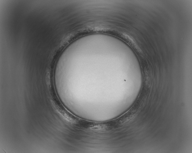 X0000073510447200608281711