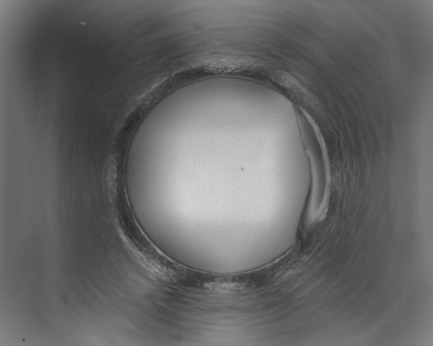 X0000073510448200608281711