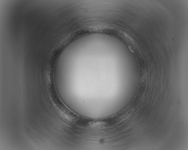 X0000073510452200608281711