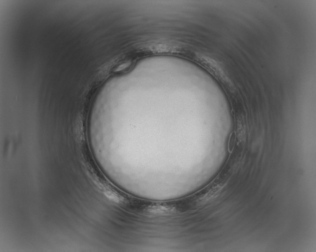 X0000073510453200608281711