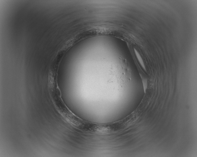 X0000073510456200608281711