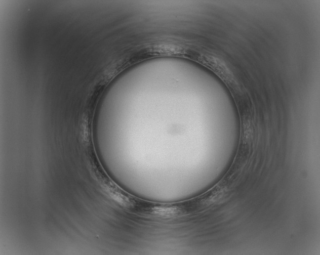 X0000073510457200608281711