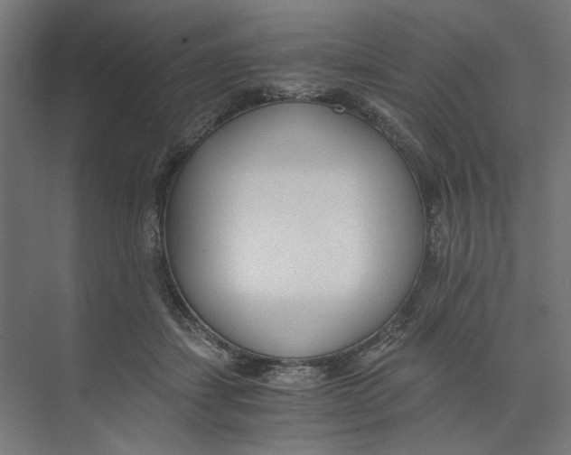 X0000073510459200608281711