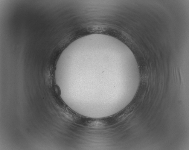 X0000073510460200608281711
