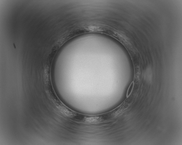 X0000073510461200608281711