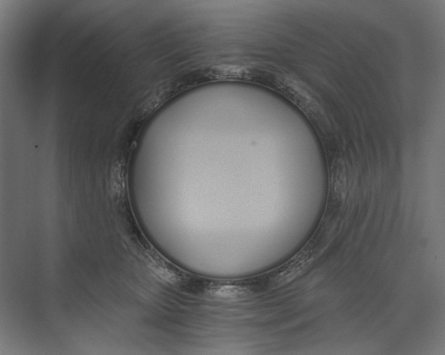 X0000073510467200608281712