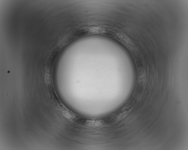 X0000073510469200608281712