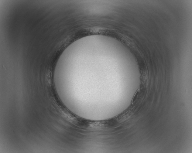 X0000073510470200608281712