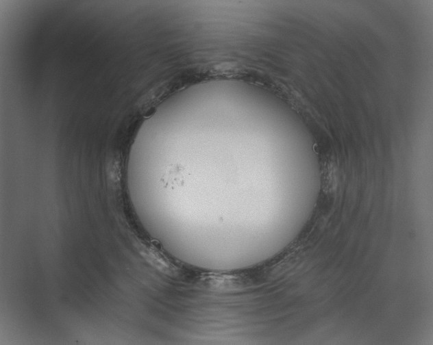 X0000073510472200608281712