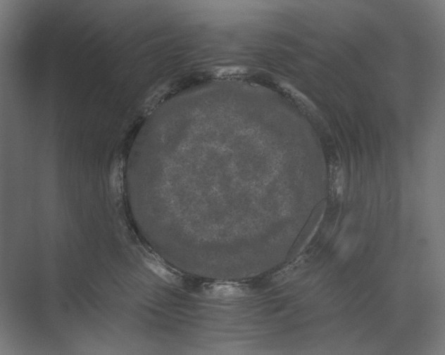 X0000073510475200608281712