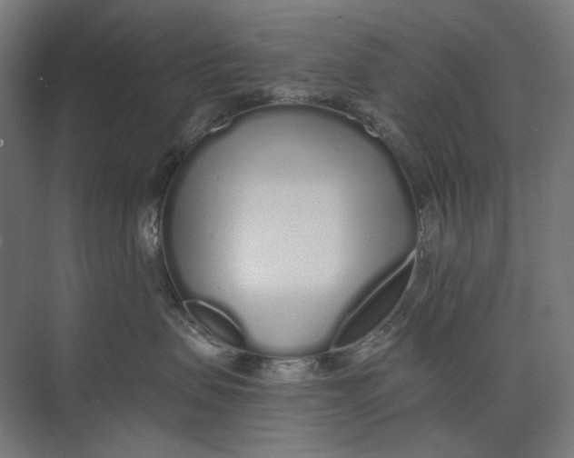 X0000073510479200608281712