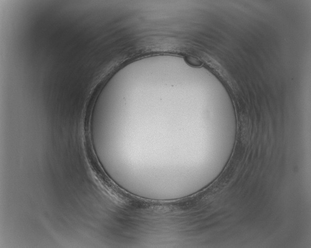 X0000073510482200608281711