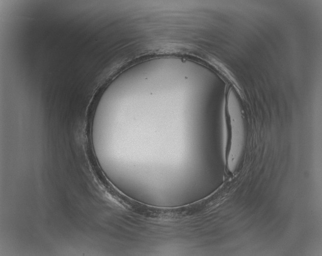 X0000073510485200608281711