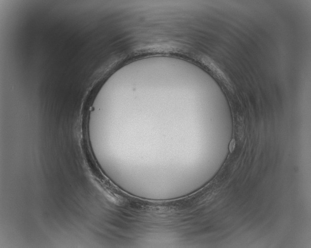 X0000073510486200608281711