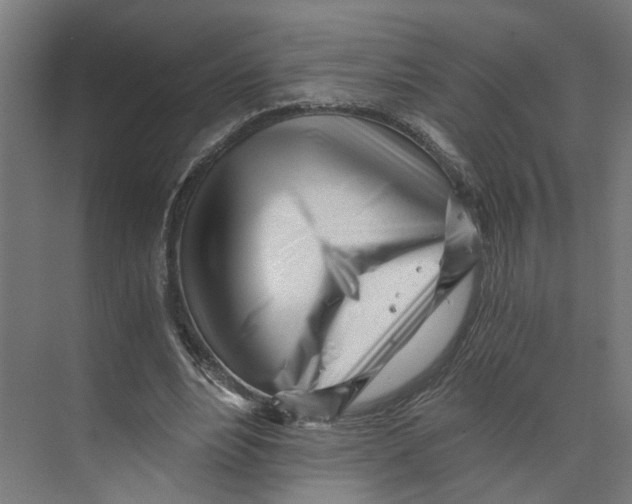 X0000073510488200608281711