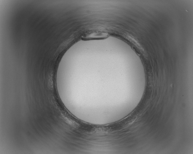 X0000073510489200608281711