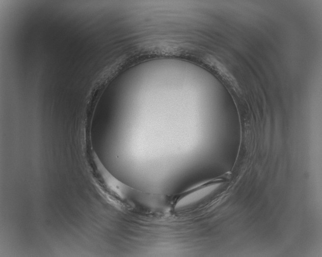 X0000073510493200608281711