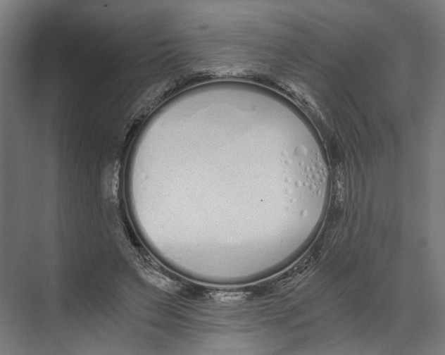 X0000073510495200608281711
