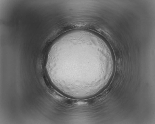 X0000073510499200608281711