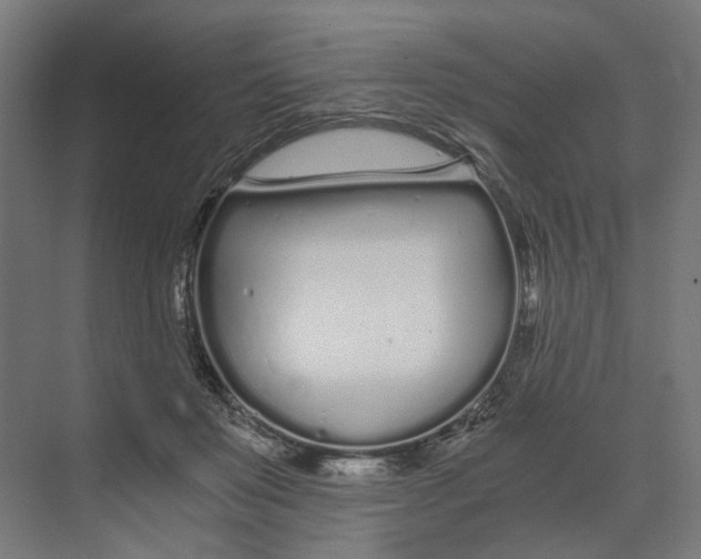 X0000073510503200608281711