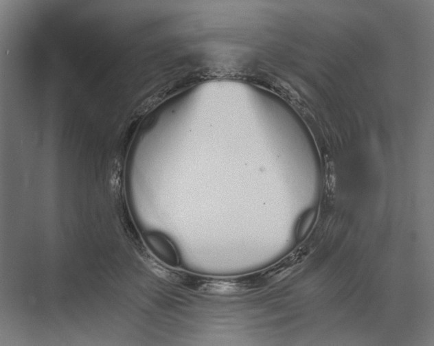 X0000073510507200608281711