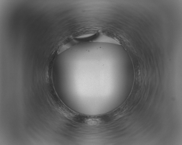 X0000073510508200608281711