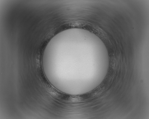 X0000073510510200608281710