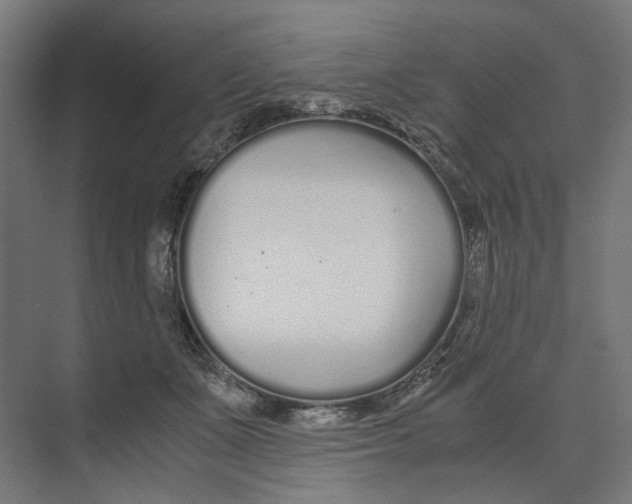 X0000073510511200608281710