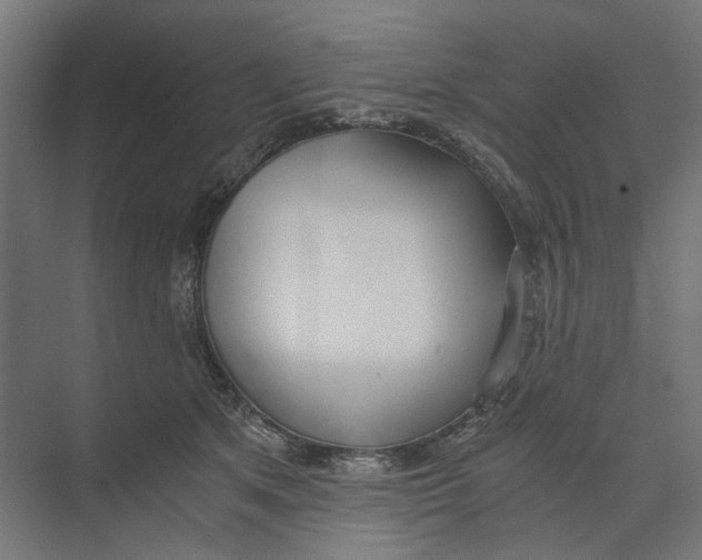 X0000073510513200608281710