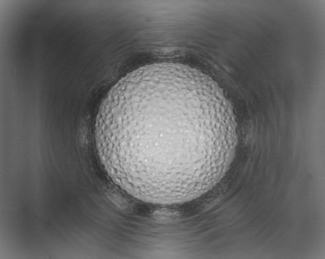 X0000073510515200608281710
