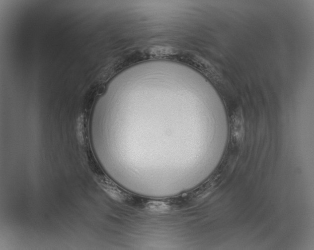 X0000073510519200608281710