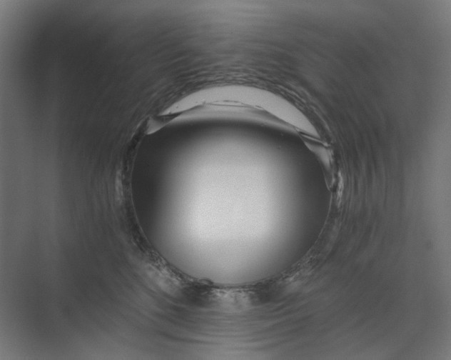 X0000073510520200608281710