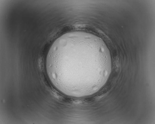 X0000073510523200608281710